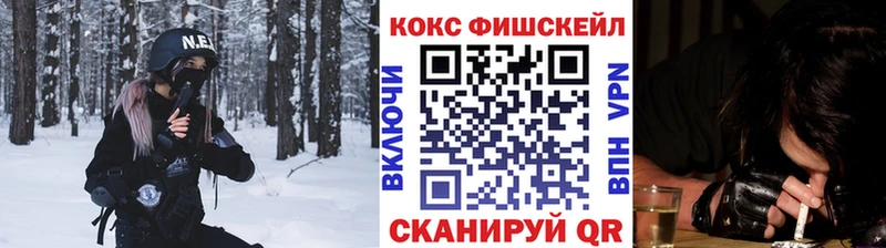 Купить закладки  Жердевка  КОКАИН 98% 