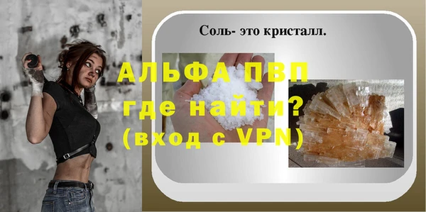 прущие грибы Инсар