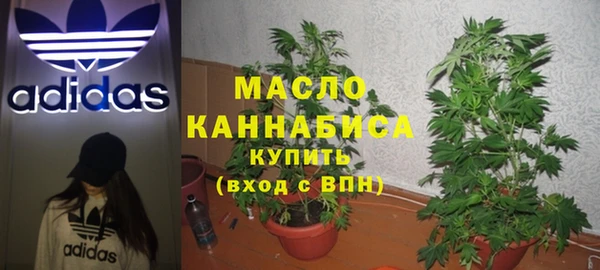 прущие грибы Инсар