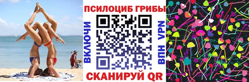 Галлюциногенные грибы прущие грибы  Купить закладки  Жердевка 